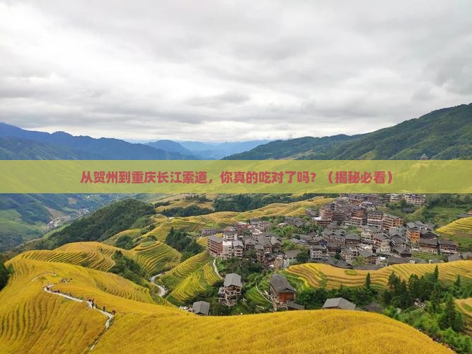 贺州到重庆长江索道旅游小吃