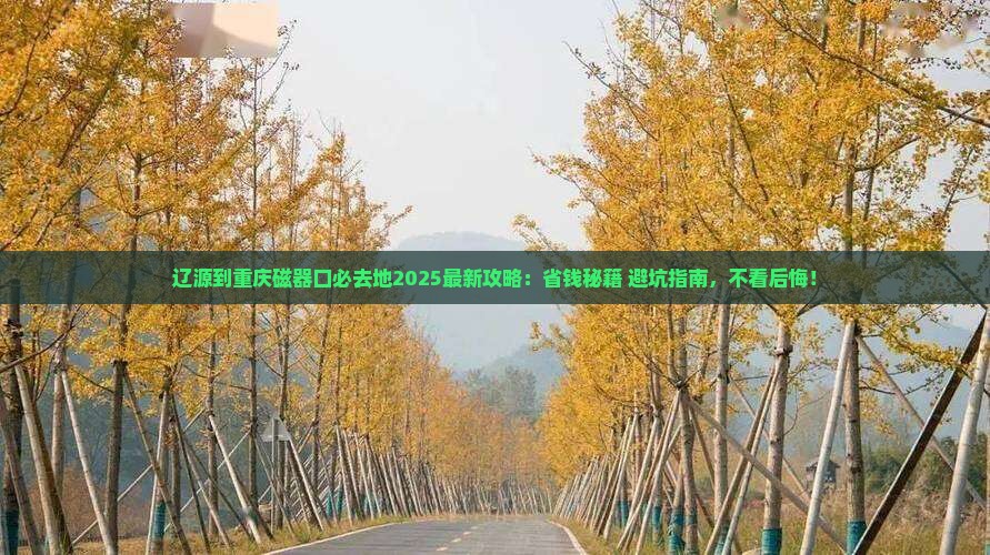 辽源到重庆磁器口必去地