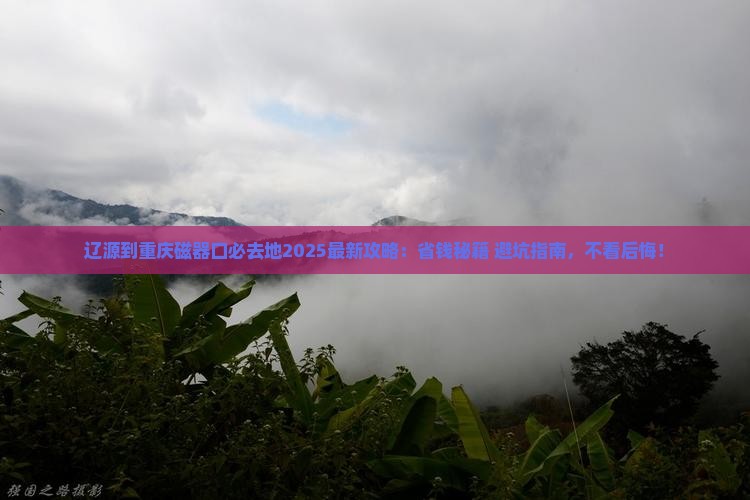 辽源到重庆磁器口必去地
