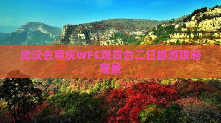 武汉去重庆wfc观景台二日游