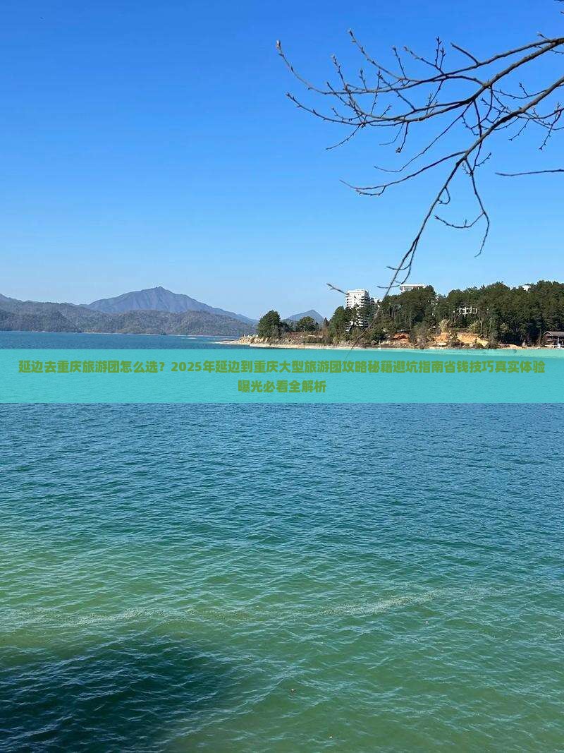 延边去重庆大型旅游团