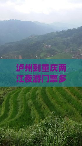 泸州到重庆两江夜游门票