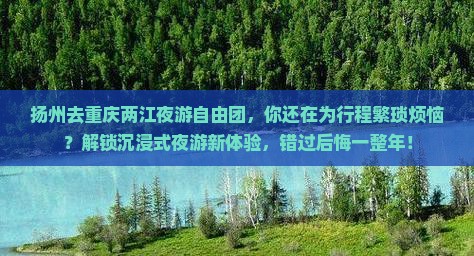 扬州去重庆两江夜游自由团