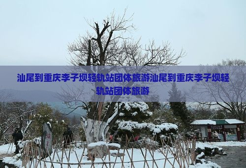 汕尾到重庆李子坝轻轨站团体旅游
