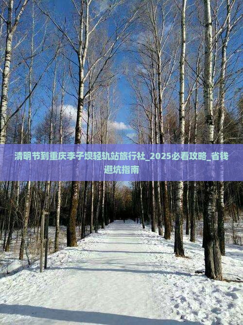 清明节到重庆李子坝轻轨站旅行社