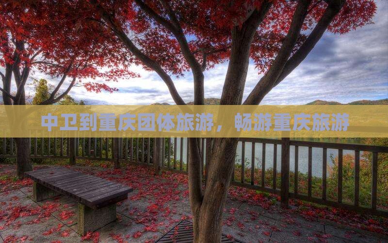 中卫到重庆团体旅游