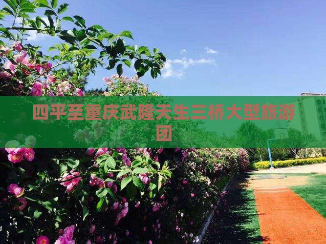 四平到重庆武隆天生三桥大型旅游团
