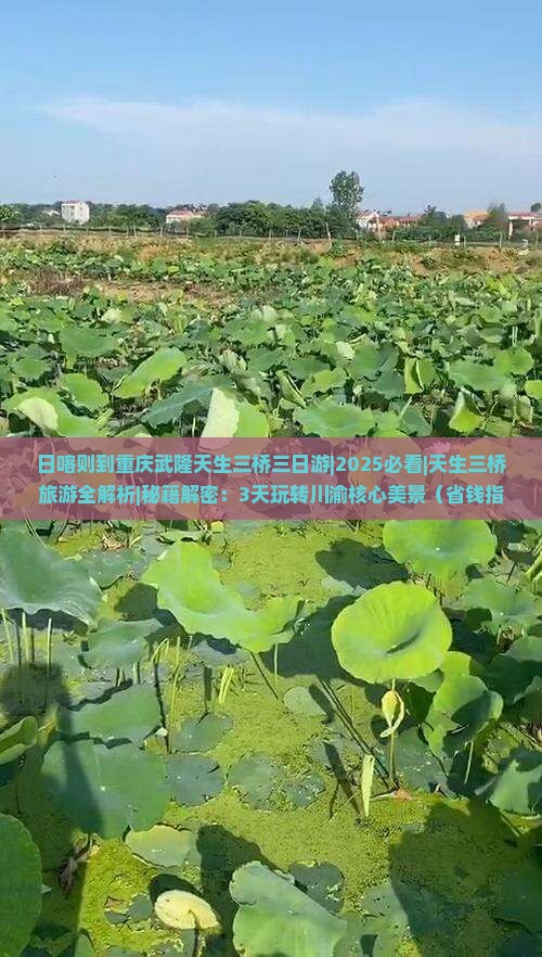 日喀则到重庆武隆天生三桥三日游