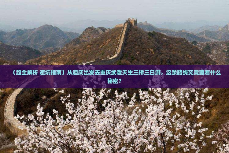 迪庆去重庆武隆天生三桥三日游