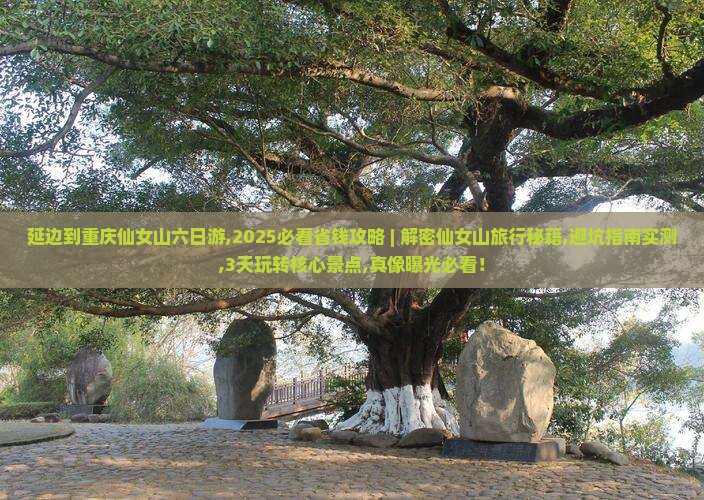延边到重庆仙女山六日游