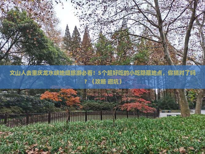 文山去重庆龙水峡地缝旅游小吃