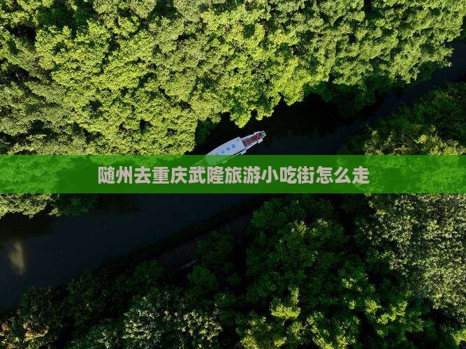 随州去重庆武隆旅游小吃