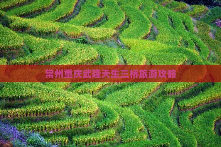 常州去重庆武隆天生三桥哪里玩