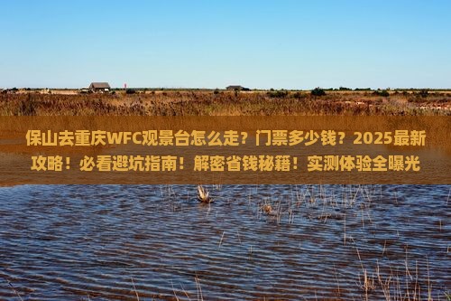 保山去重庆wfc观景台门票