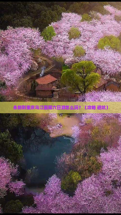 永新到重庆乌江画廊六日游