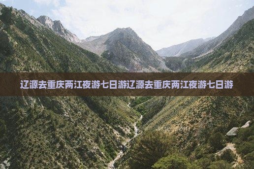 辽源去重庆两江夜游七日游