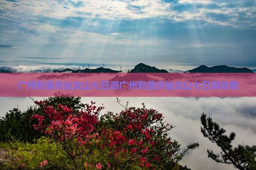 广州到重庆仙女山七日游