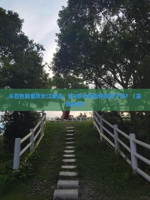 百色去重庆长江索道旅游小吃