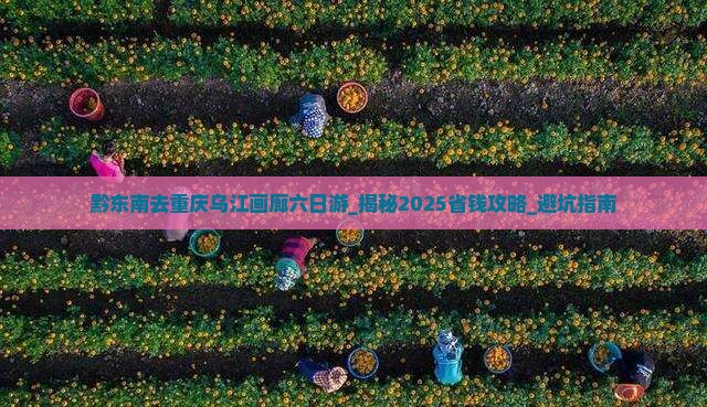 黔东南去重庆乌江画廊六日游