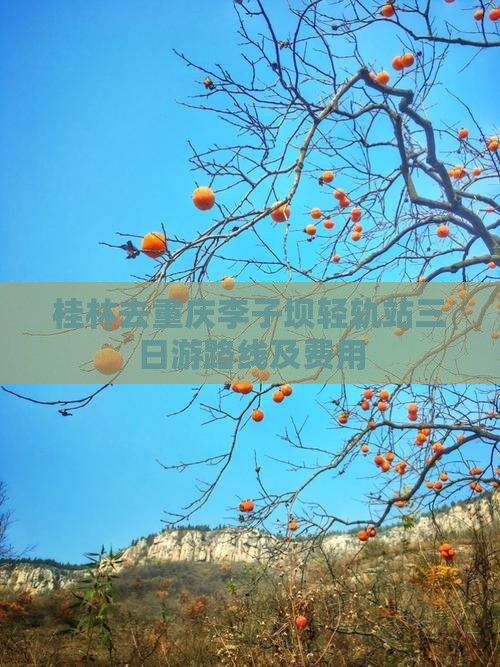 桂林去重庆李子坝轻轨站三日游