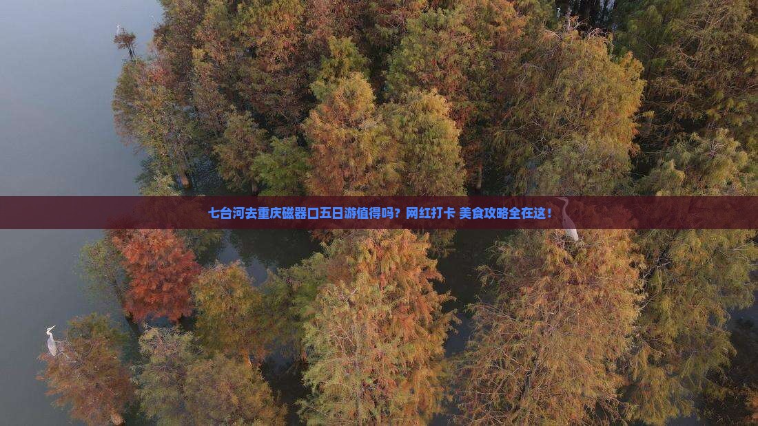 七台河去重庆磁器口五日游