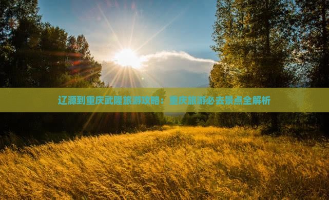 辽源到重庆武隆旅游