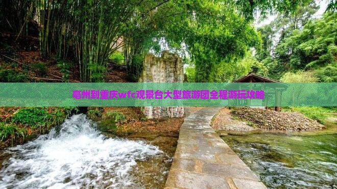 亳州到重庆wfc观景台大型旅游团