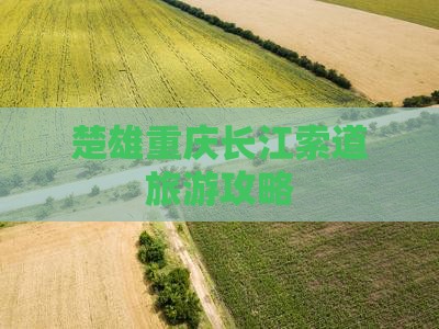 楚雄去重庆长江索道哪里玩