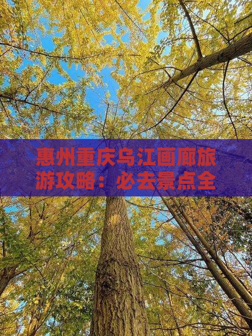 惠州去重庆乌江画廊自由团