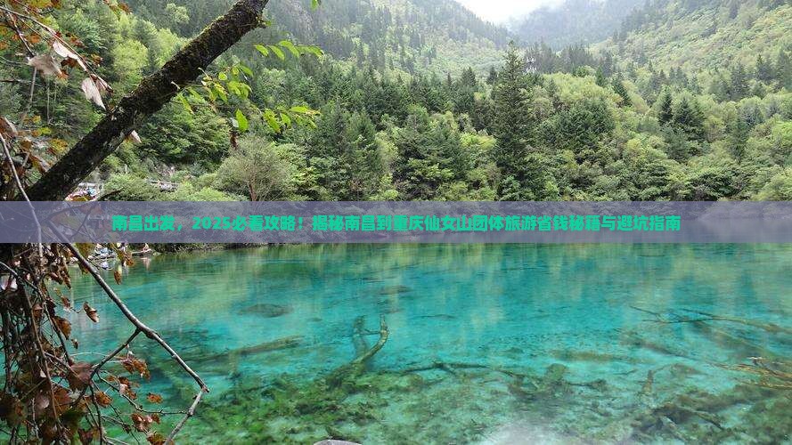 南昌到重庆仙女山团体旅游
