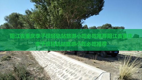 阳江去重庆李子坝轻轨站旅游小吃