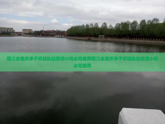 阳江去重庆李子坝轻轨站旅游小吃