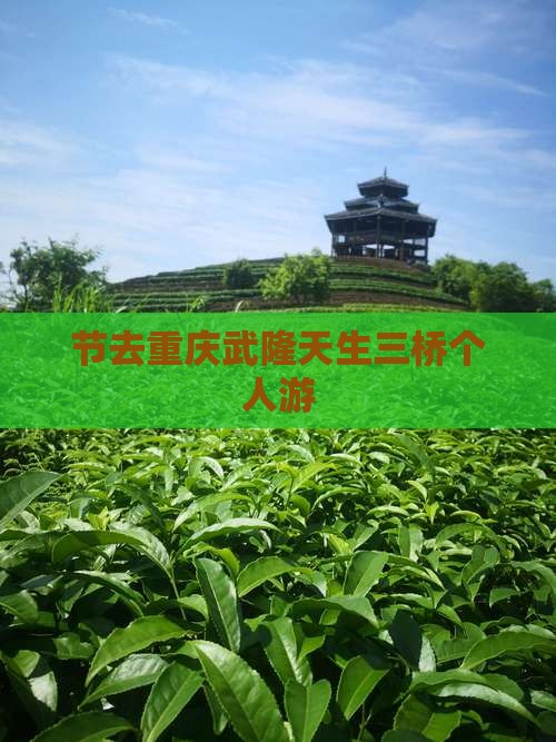中秋节去重庆武隆天生三桥个人游