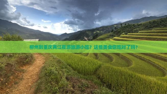 柳州到重庆两江夜游旅游小吃
