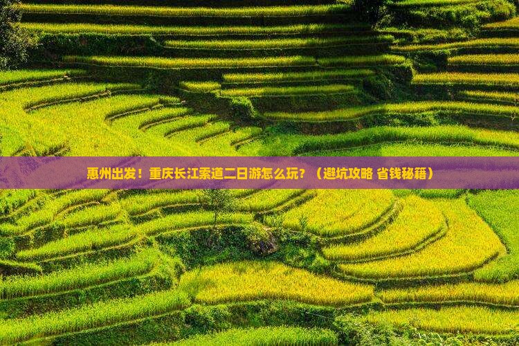 惠州到重庆长江索道二日游