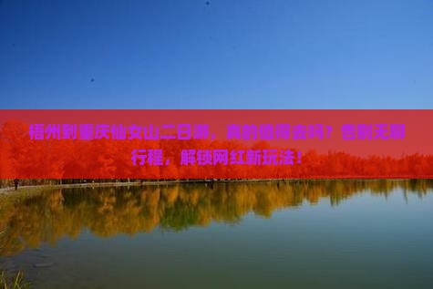 梧州到重庆仙女山二日游