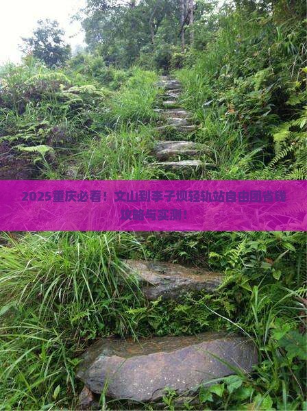 文山到重庆李子坝轻轨站自由团