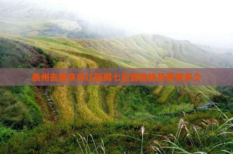 泰州去重庆乌江画廊七日游