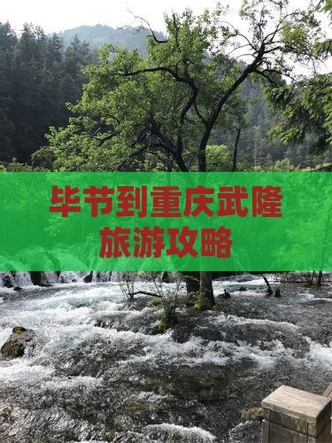 毕节到重庆武隆门票