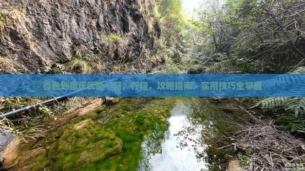 百色到重庆武隆一日
