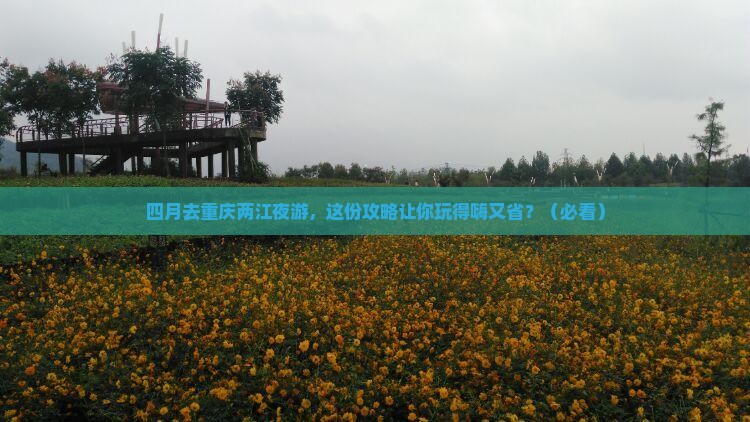 四月去重庆两江夜游团体旅游