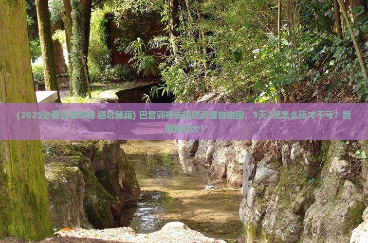 巴音郭楞去重庆武隆自由团