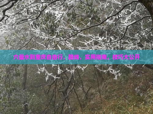 六盘水到重庆自由行