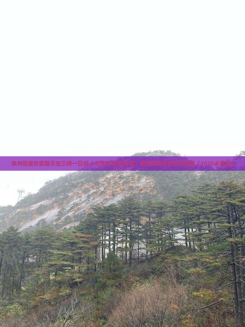 泉州到重庆武隆天生三桥一日