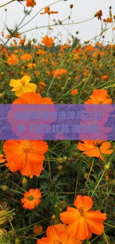 汕尾到重庆渣滓洞三日游