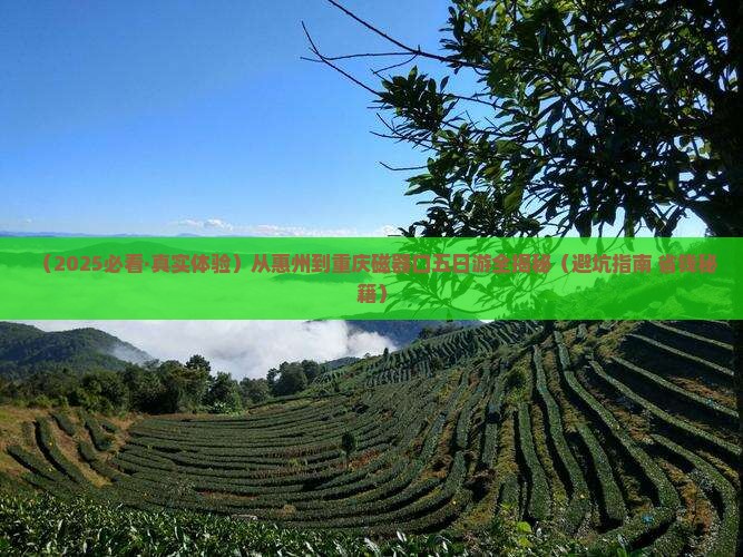 惠州到重庆磁器口五日游
