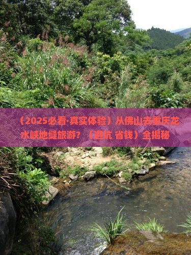 佛山到重庆龙水峡地缝旅游