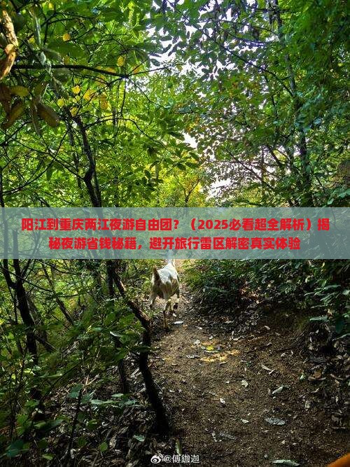 阳江到重庆两江夜游自由团