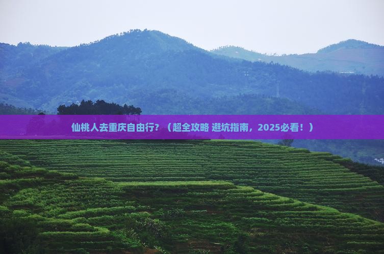 仙桃去重庆自由行