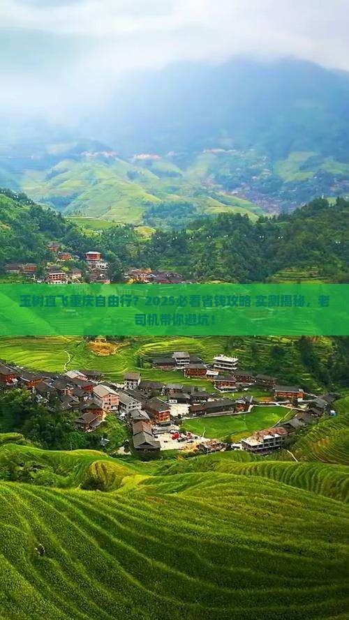 玉树去重庆自由团